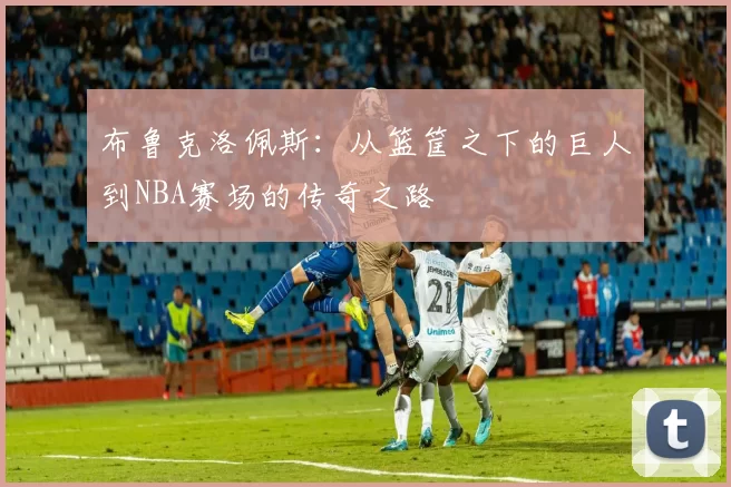 布鲁克洛佩斯：从篮筐之下的巨人到NBA赛场的传奇之路